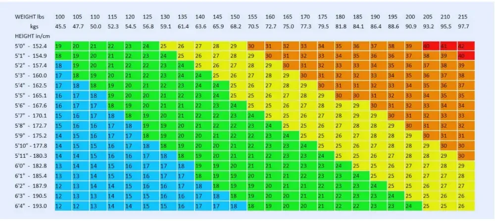BMI Chart: For Adults & Teenagers